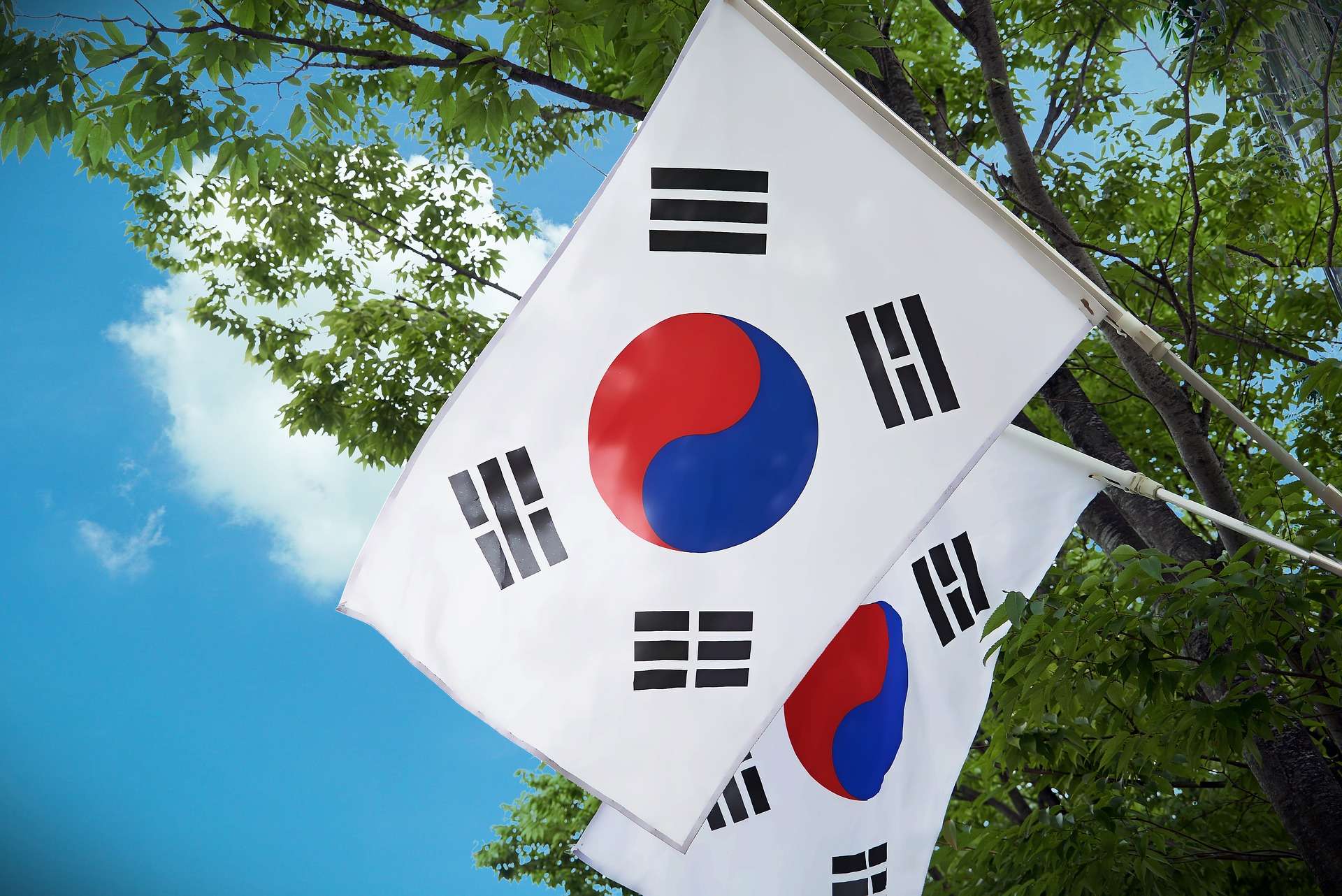 South Korea Recorded Over 15M Crypto Investors by November