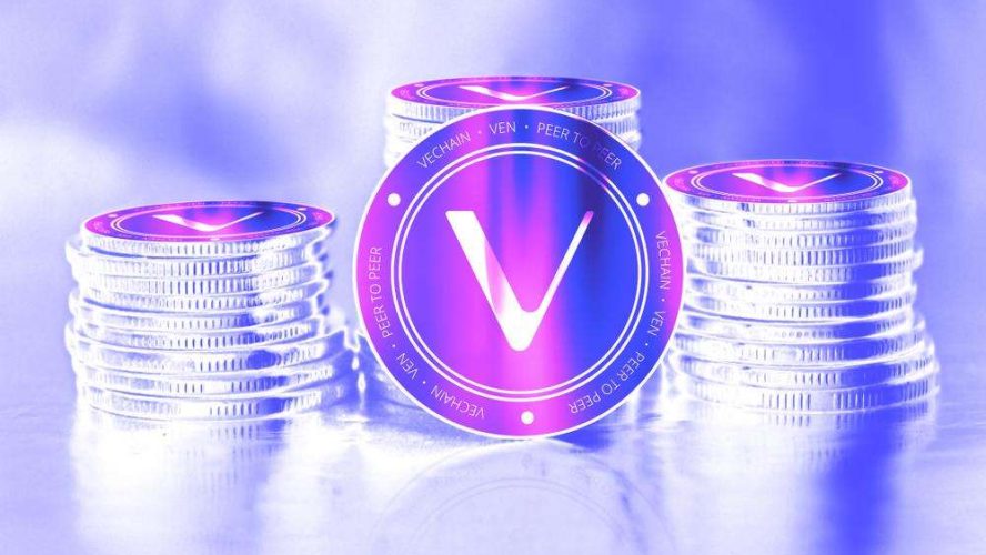 VeChain Sunny Lu Outlines a Path to Transparent Sustainability